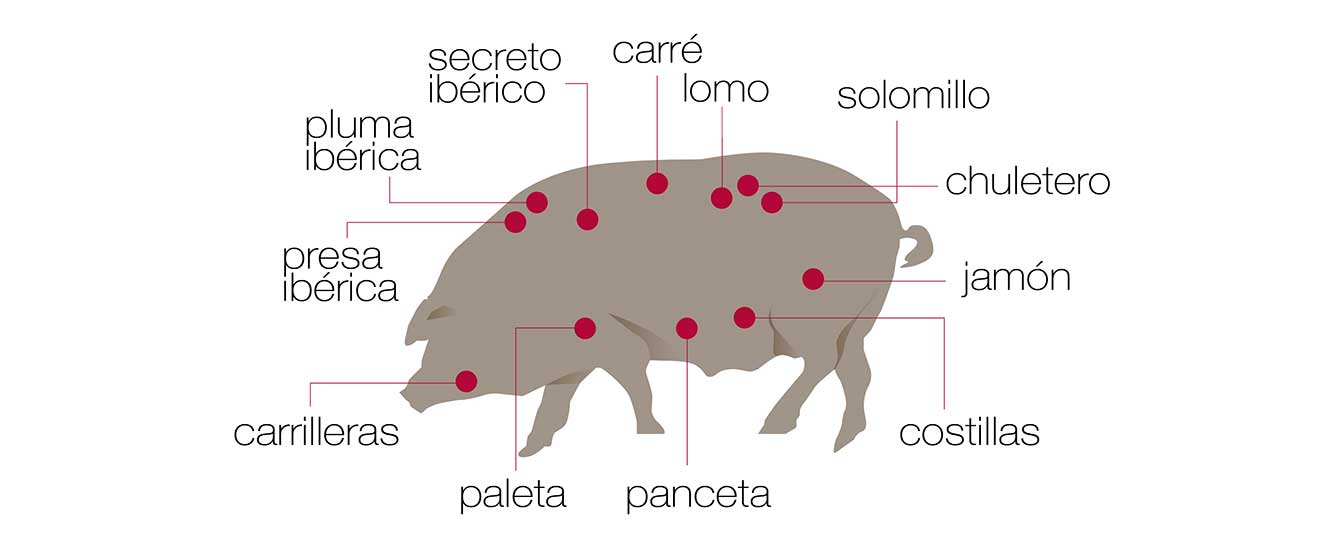 Partes del cerdo